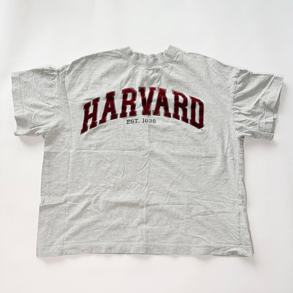 Harvard University Gray Collegiate Graphic T-Shirt Fits Large